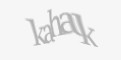 Защитный код