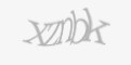Защитный код